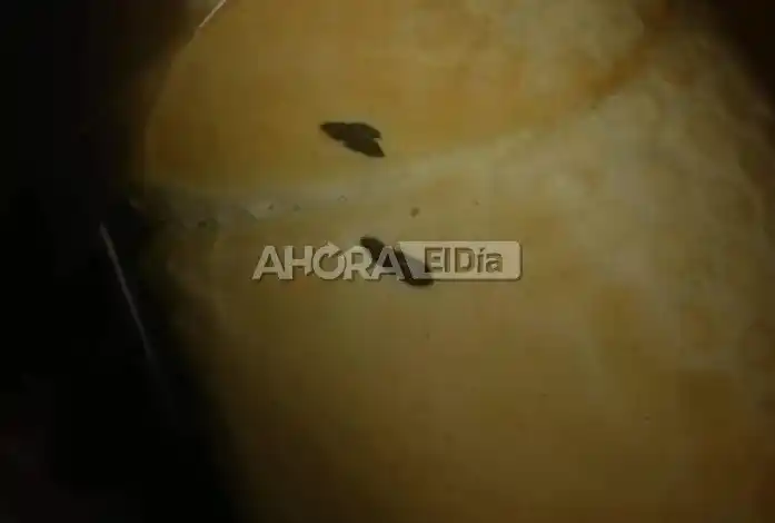 pan heces de rata - 1