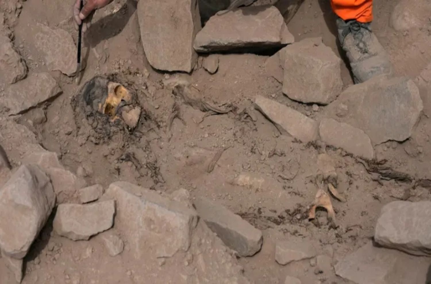 Arqueólogos encontraron una momia que tendría más de 3000 años