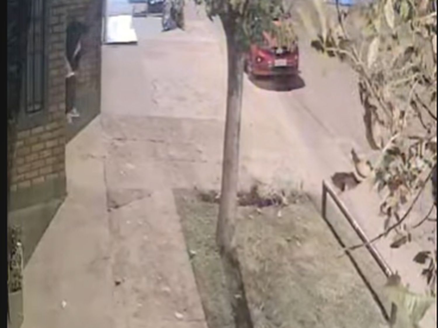La mujer fue captada por las cámaras de seguridad del domicilio.
