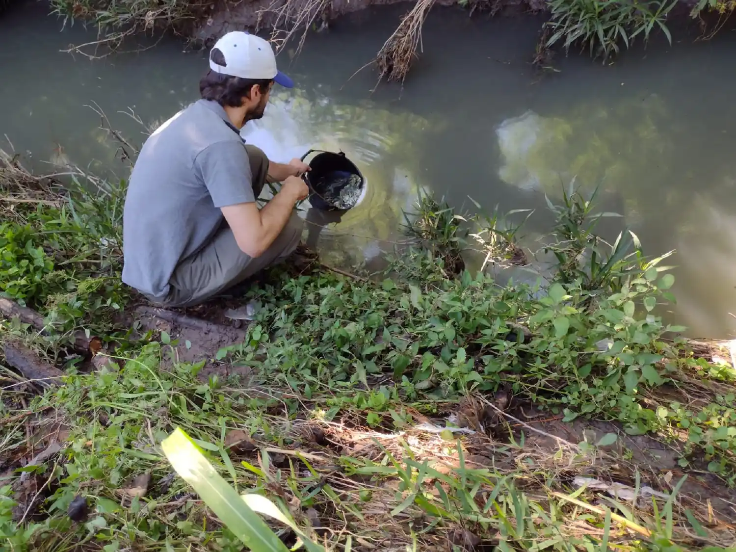 el arroyo Las Conchas, afectado por vertidos de efluentes