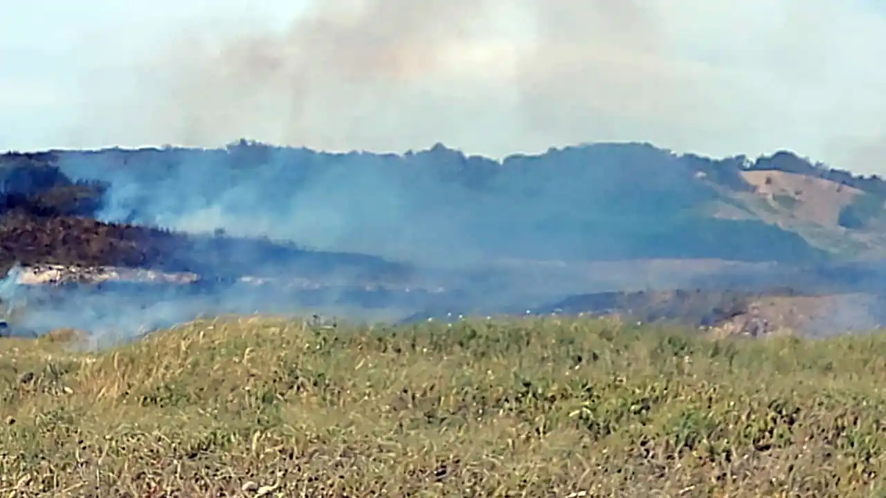 Incendio en Punta Carballido