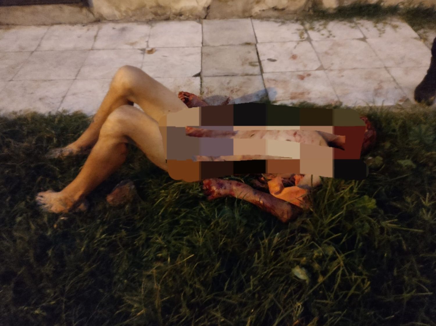 Quilmes: Le entraron a robar a la casa, mandó al hospital al ladrón y ahora lo detuvieron por tentativa de homicidio