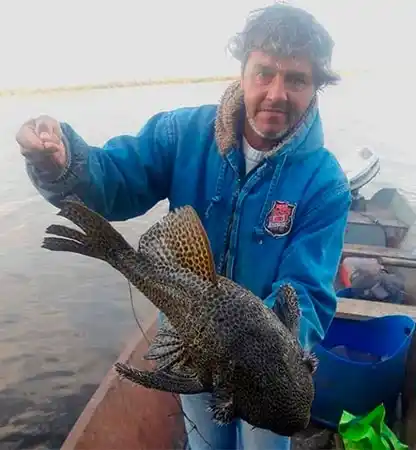 Capturaron una especie extraña en el río Uruguay: "es la primera vez que veo algo así"