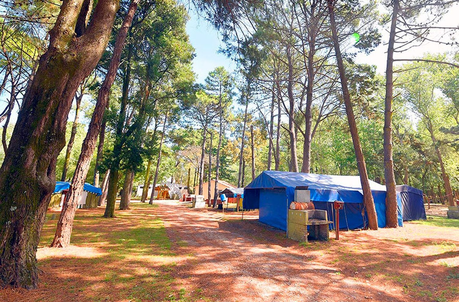 Los campings de Mar del Plata tienen todo enero reservado