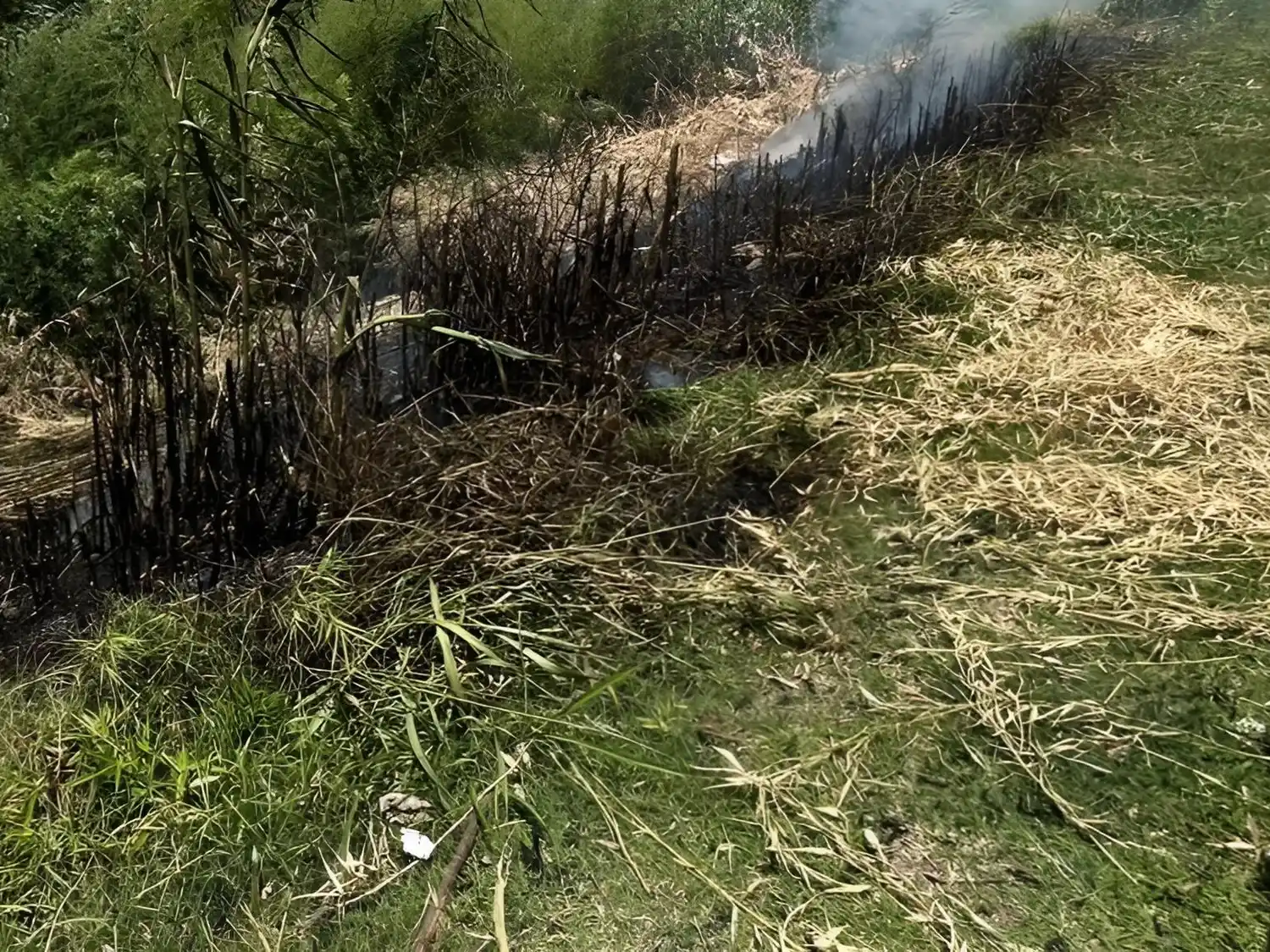 Los voluntarios trabajaron para controlar las llamas.