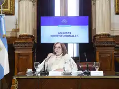Los senadores opositores dictaminarán un proyecto para la regulación de los decretos