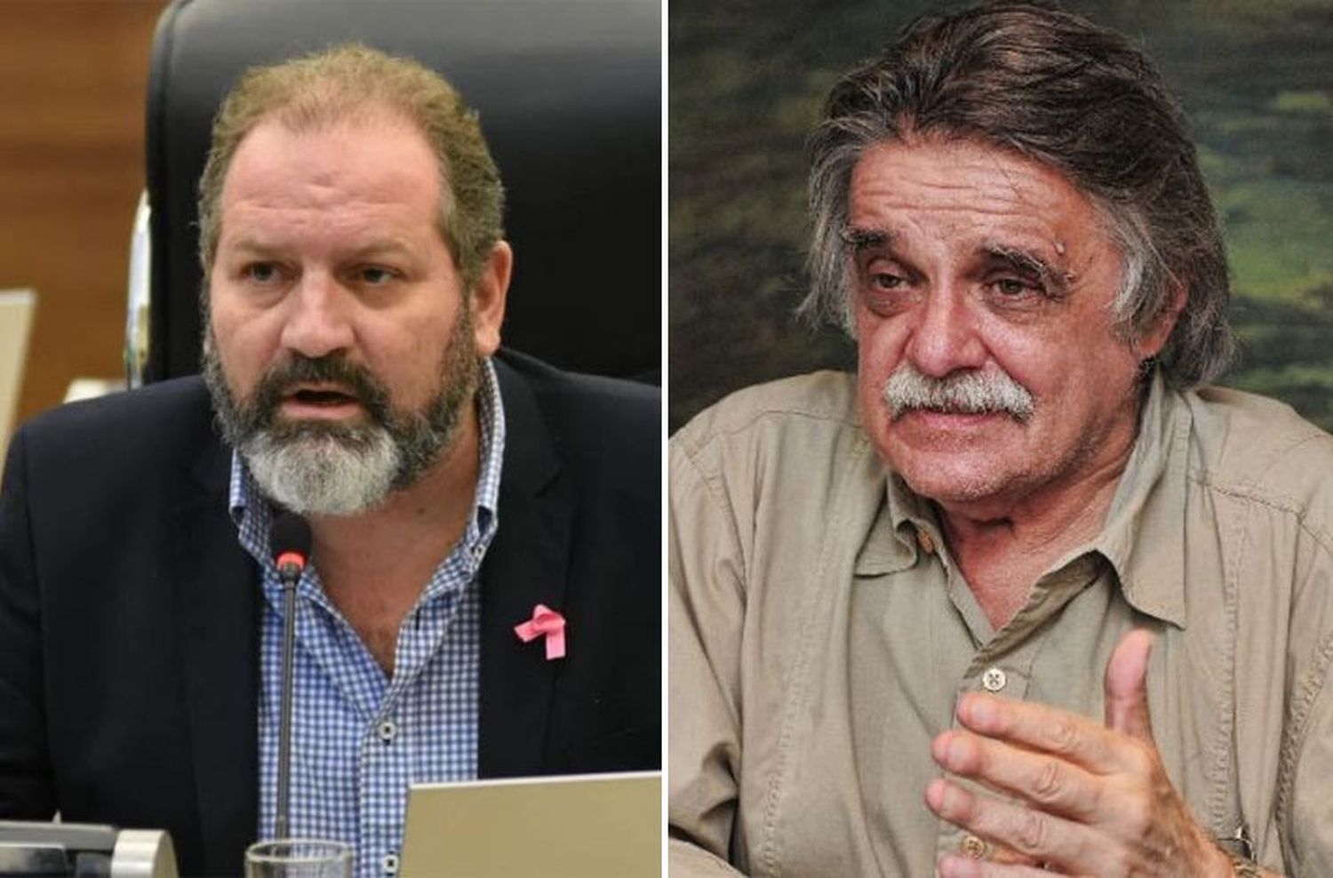 El concejal Charly Cardozo cuestionó la reivindicación de Horacio González sobre la guerrilla