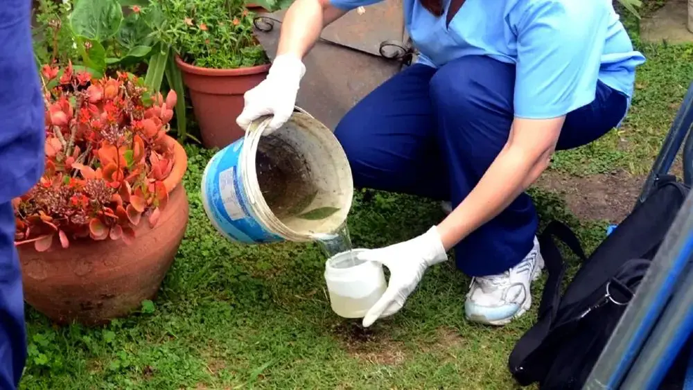Prevención. Realizan campaña para eliminar recipientes con agua acumulada