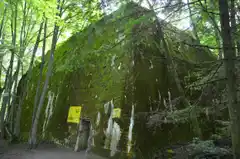 Hallaron esqueletos desmembrados en el cuartel de Hitler, llamado Guarida del Lobo