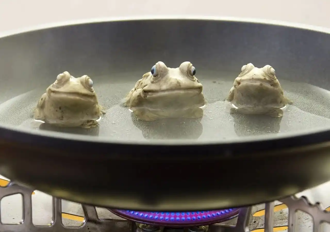 Somos ranas hervidas que nos avivamos tarde