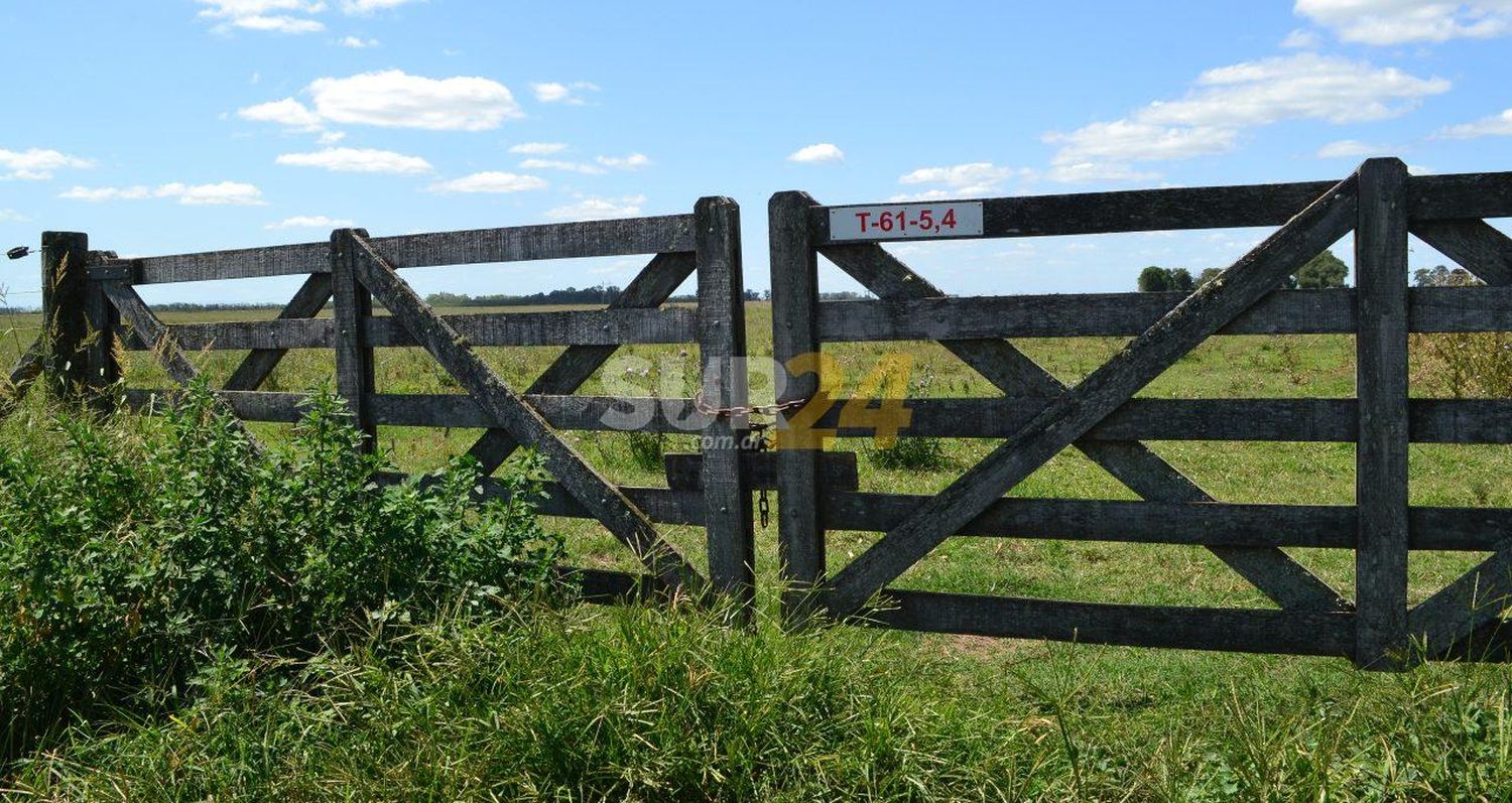 Roban glifosato y herramientas en un campo de Chovet