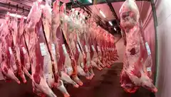 Confirmaron que las exportaciones de carnes seguirán sin retenciones