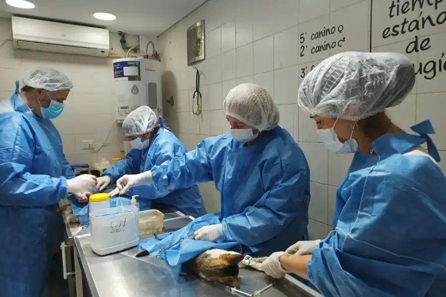 El personal de Salud Animal continúa capacitándose