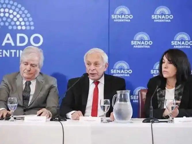 El Senado acelera antes del receso y el Gobierno 
mantiene abierta la negociación por las PASO
