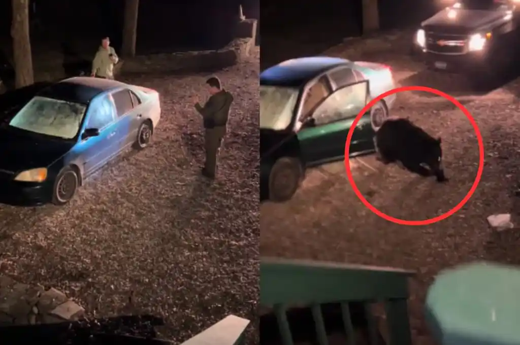 Susto en Pensilvania