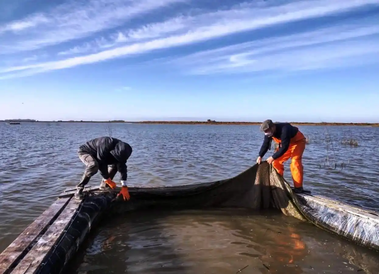 Convenio con la Universidad Nacional de La Plata: estudio y análisis de los espejos de agua del distrito de Lezama