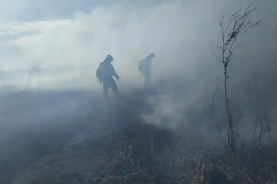 Delta del Paraná: La provincia trabaja en operativo interministerial para el combate de incendios en Entre Ríos