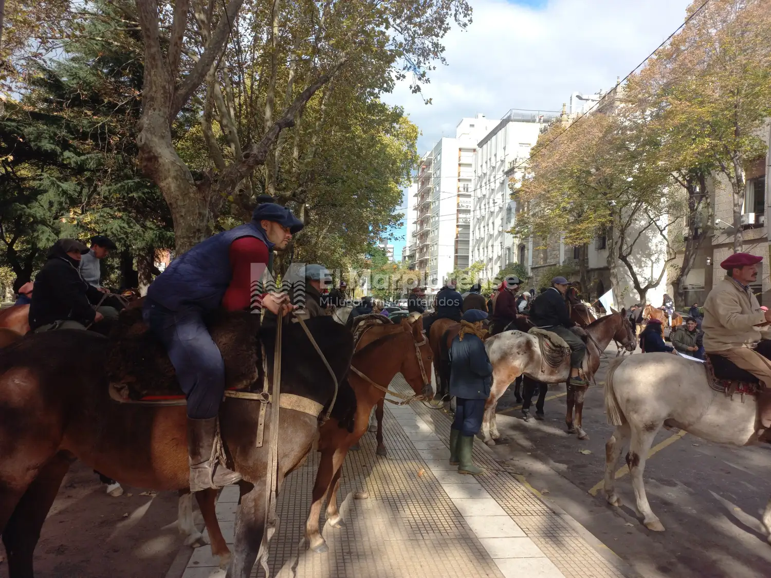 Hace más de un año se realizó una movilización de vecinos a caballo. Su reclamo tuvo respuesta recién ahora.