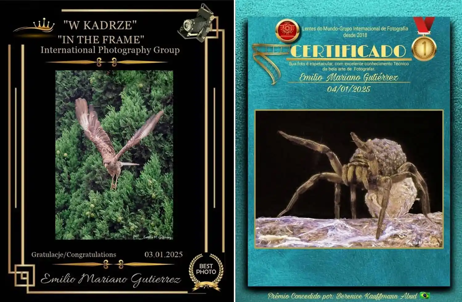 Emilio Mariano Gutiérrez, el fotógrafo de Chascomús reconocido internacionalmente por su mirada de la naturaleza