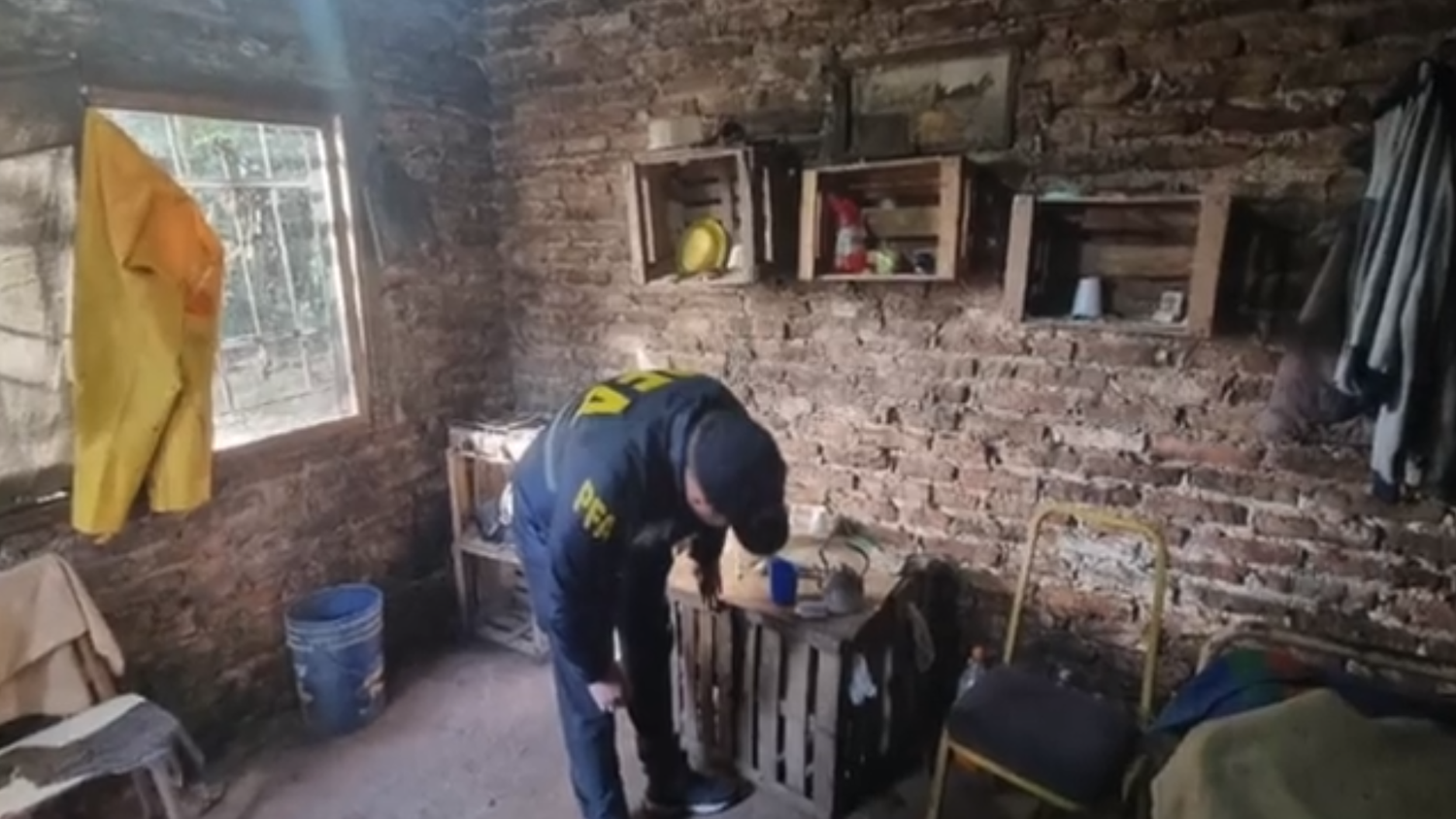 Operativos en Ezeiza y Cañuelas: Rescatan a siete personas que eran explotadas en campos frutihortícolas