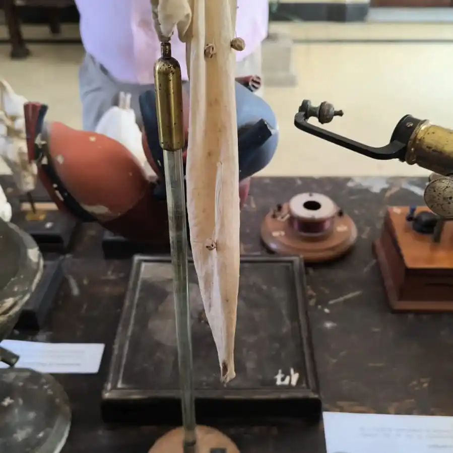 La Escuela Normal inauguró la muestra  “Aquel laboratorio de ayer”