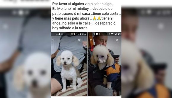 Buscan a Moncho