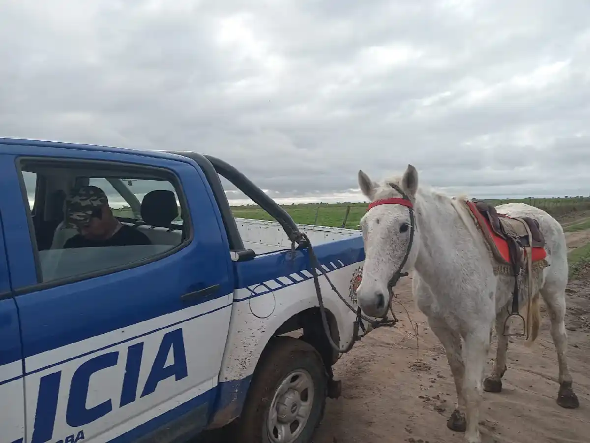 Quebracho Herrado: salió a robar montado a caballo