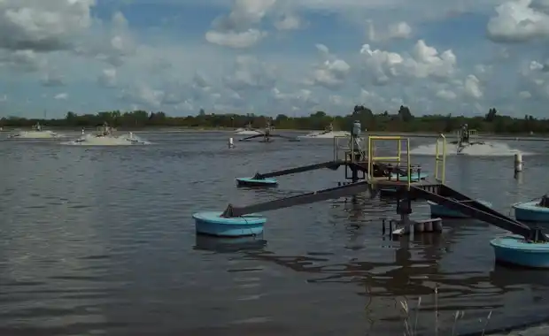 El Foro continúa reclamando información sobre la laguna sanitaria
