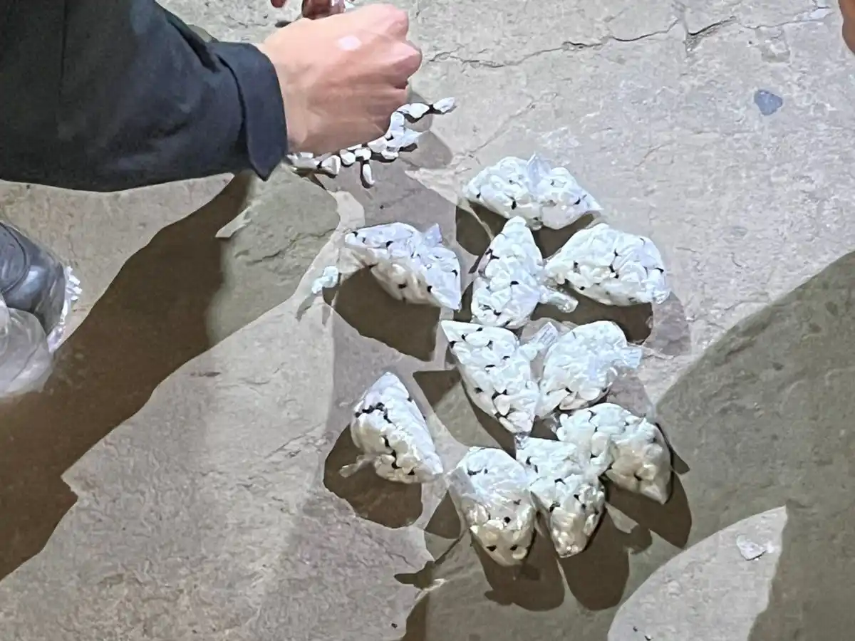 Una menor de 16 años le entregó a la policía más de 800 dosis de cocaína de su padrastro, quien se dio a la fuga