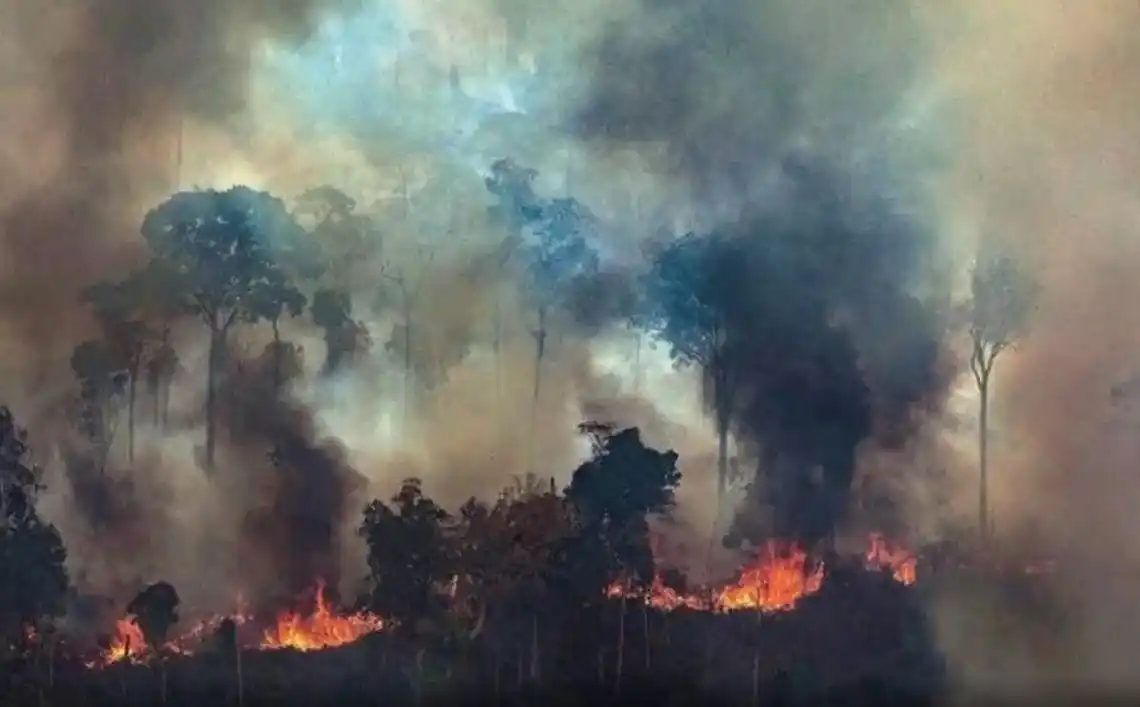 Amazonas: Brasil rechazará los US$22 millones ofrecidos por el G7 para combatir el fuego