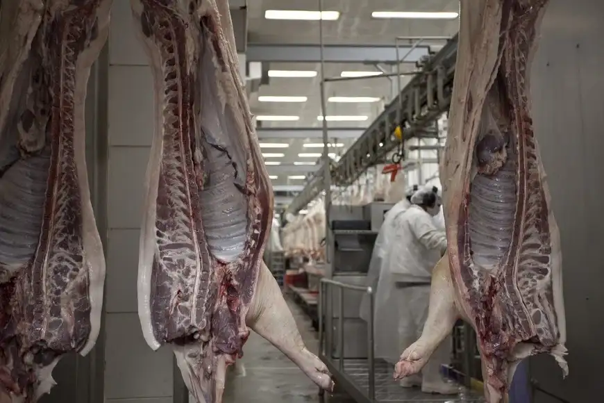 Carne de Cerdo: Protagonista de la mesa de los argentinos