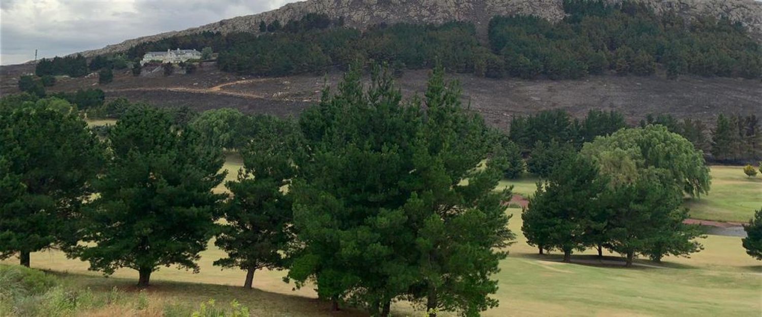 Así está la zona del devastador incendio