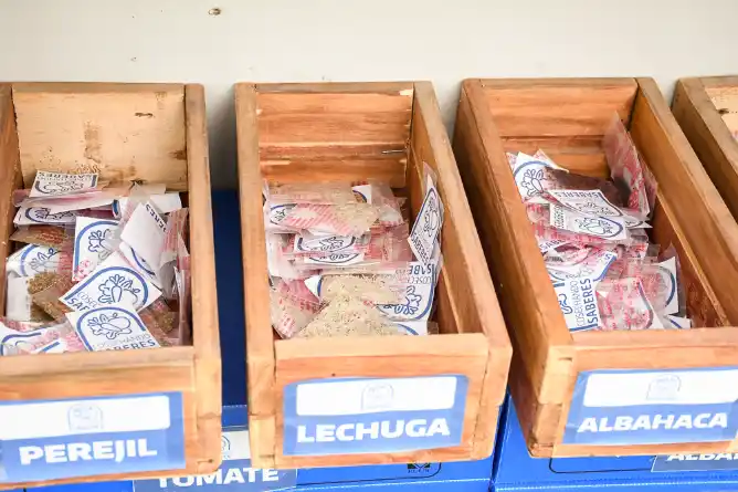 Cosechando Saberes: Comienza la entrega de semillas para la huerta primavera-verano en Chascomús