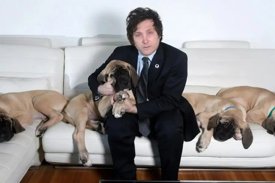 "Es meterse con su familia", dijo Adorni tras ser consultado nuevamente sobre los perros de Milei