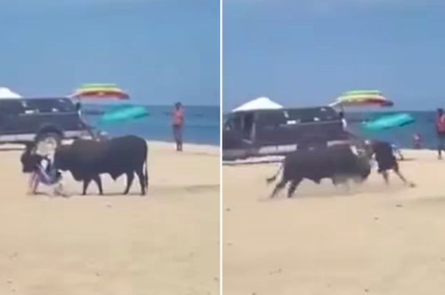 Toro atacó a una turista