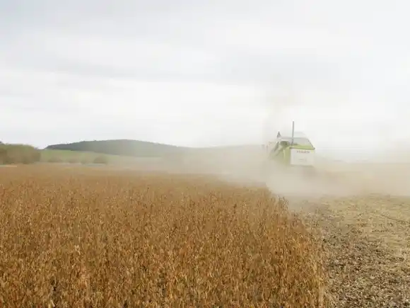 Victoria picó en punta con la trilla de la soja entrerriana del 2025