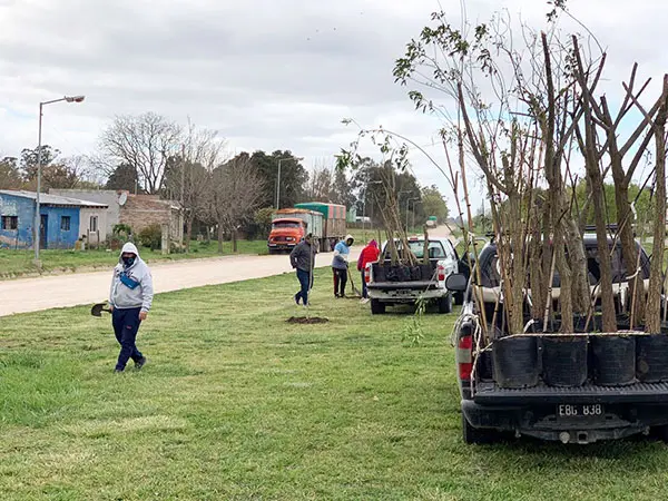 El COA y vecinos plantaron árboles en la calle Bisciotti