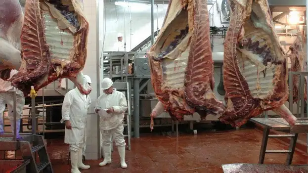 Gestionan asistencia para el sector gastronómico y frigoríficos 