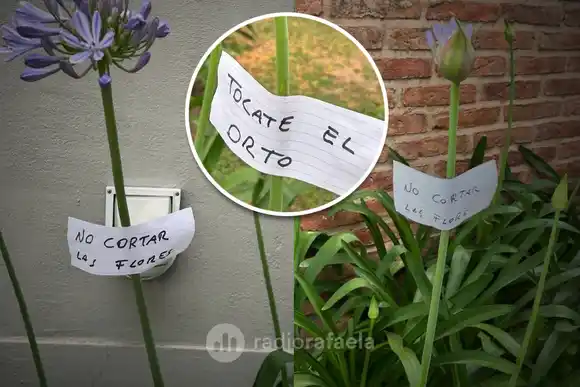 “Tocate el ort*”: se enojó un vecino y llenó de carteles el jardín de su casa