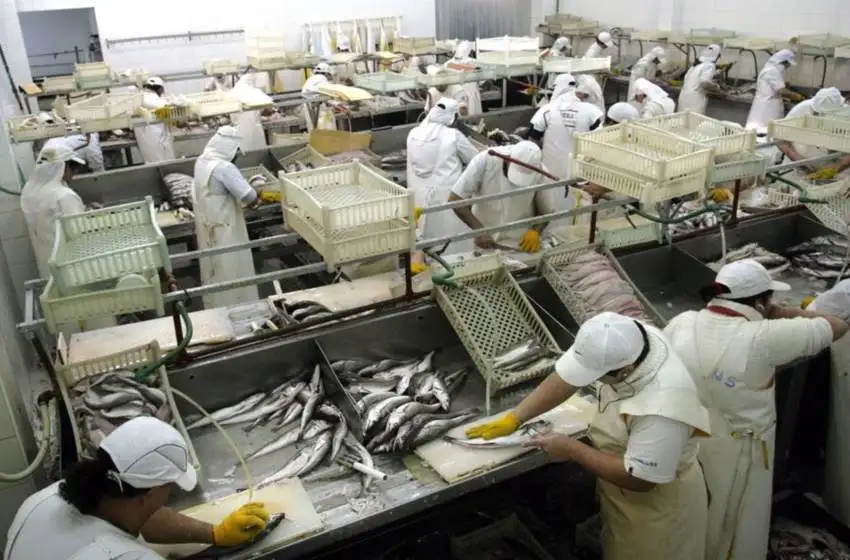 Nación insta a que se procese el langostino en Mar del Plata