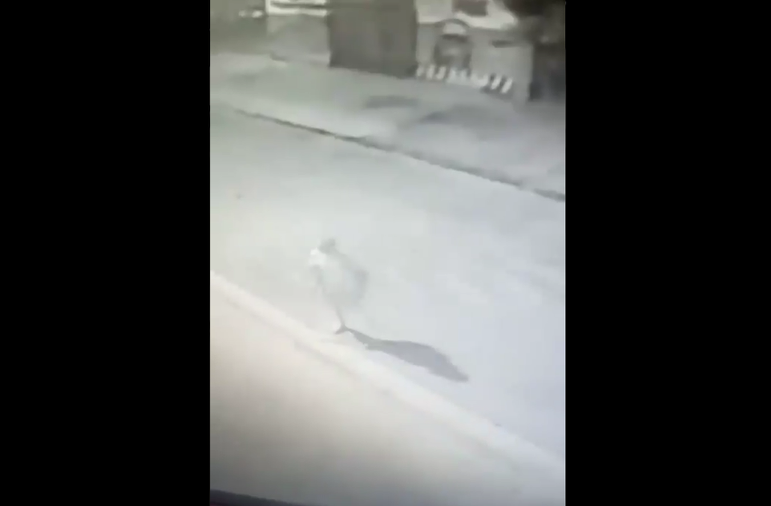 Los Polvorines: Entró a robar, un pitbull le arrancó una pierna y 2 años después, en muletas, volvió para amenazar a la familia