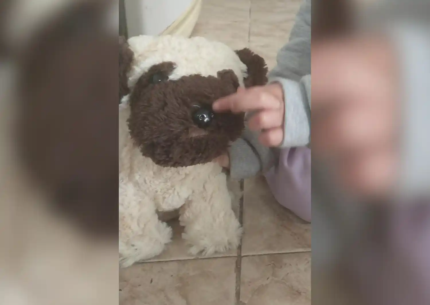 Peluche extraviado