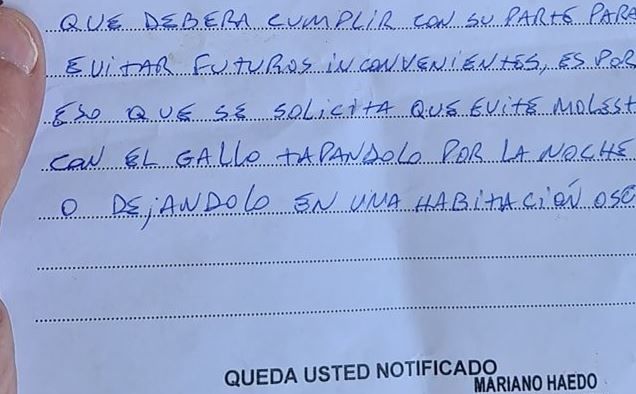 Insólito: En Pringles un vecino fue multado con casi 40 mil pesos por los ruidos de su gallo