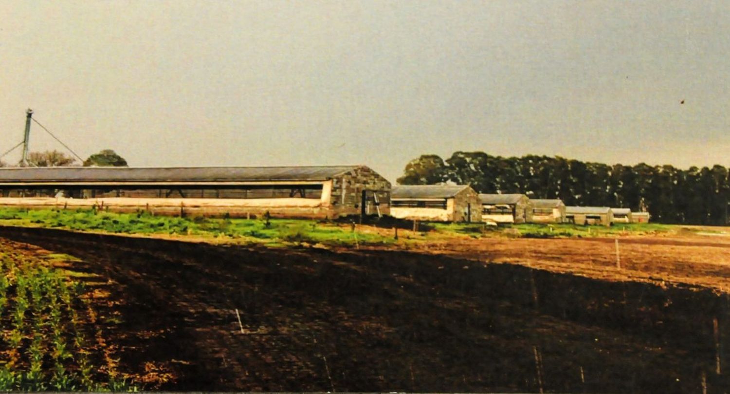 Cuarenta años de desarrollo para garantizar el progreso en la ciudad y en el campo