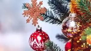 Feliz Navidad!