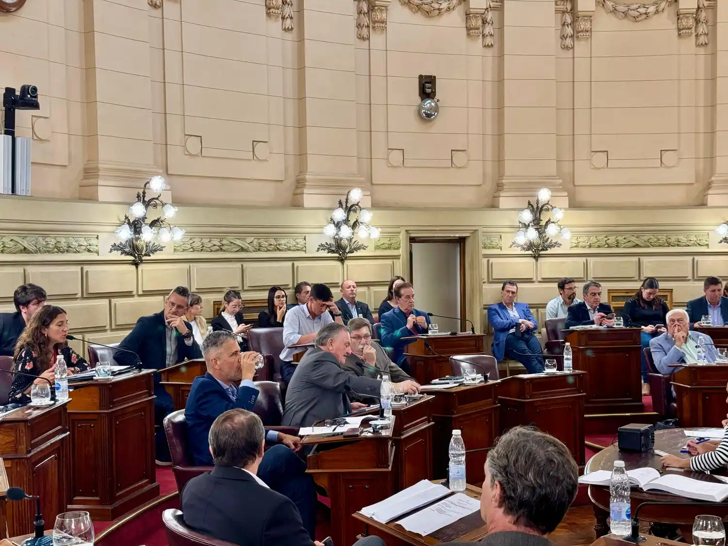 La senadora fundamentó el proyecto impulsado.