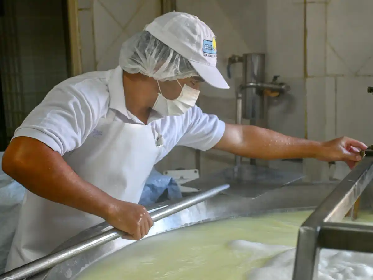 Ganancias y horas extras: un cambio que aliviará a la industria láctea    