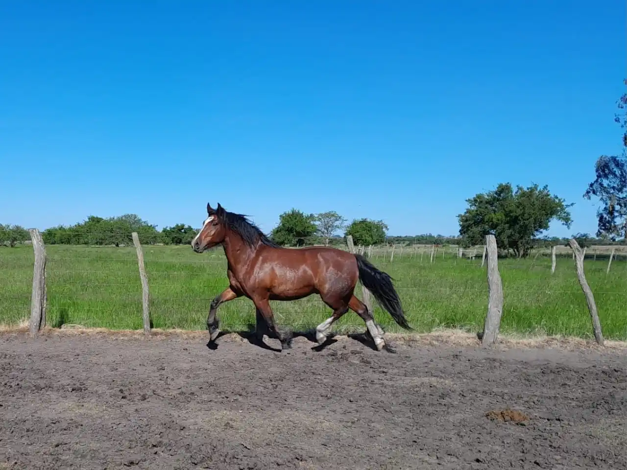 Bono contribución a beneficio de Bomberos Voluntarios de Villaguay