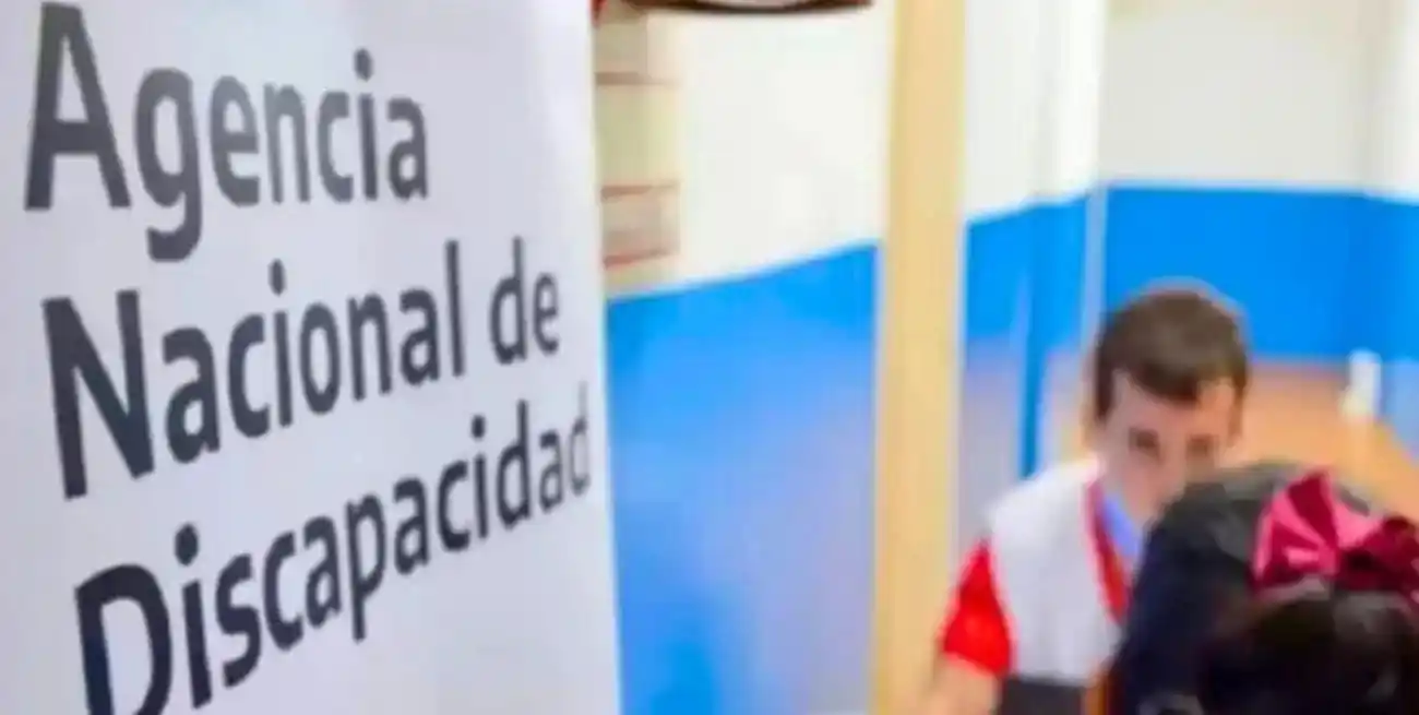 La Resolución 187 de ANDIS utilizó términos como "idiota" e "imbécil" para clasificar grados de discapacidad, generando críticas y llevando al gobierno a anunciar su modificación.