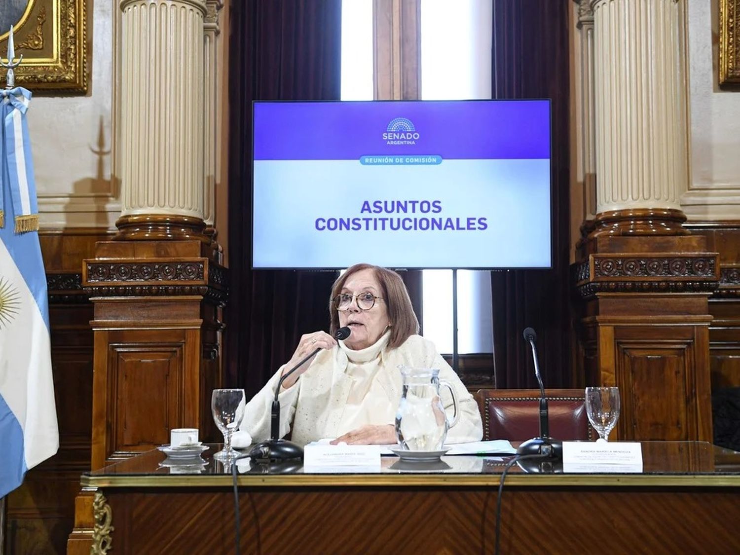 Los senadores opositores dictaminarán un proyecto para la regulación de los decretos